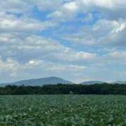 ヒメ日記 2025/10/07 14:49 投稿 ROBIN TALL