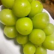 ヒメ日記 2025/10/16 11:29 投稿 ROBIN TALL