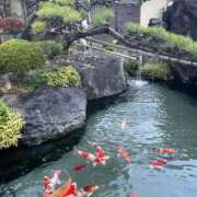 ヒメ日記 2025/10/23 12:29 投稿 ROBIN TALL