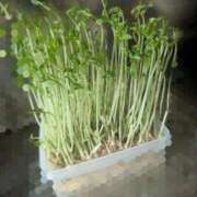 ヒメ日記 2025/12/09 13:56 投稿 れみか One More奥様　横浜関内店