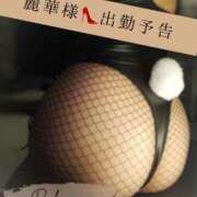 ヒメ日記 2025/10/23 08:03 投稿 （長野市発）麗華（れいか）お姉様 コインダムール(松本)