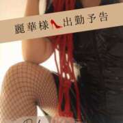 ヒメ日記 2025/11/17 23:18 投稿 （長野市発）麗華（れいか）お姉様 コインダムール(松本)