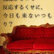 （長野市発）麗華（れいか）お姉様 ※無題 コインダムール(松本)