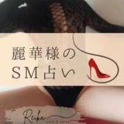 ヒメ日記 2025/12/19 11:13 投稿 （長野市発）麗華（れいか）お姉様 コインダムール(松本)