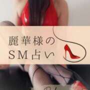 ヒメ日記 2025/12/22 11:12 投稿 （長野市発）麗華（れいか）お姉様 コインダムール(松本)