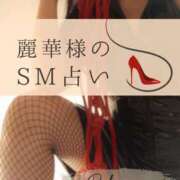 ヒメ日記 2025/12/23 11:11 投稿 （長野市発）麗華（れいか）お姉様 コインダムール(松本)