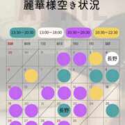ヒメ日記 2026/04/14 18:52 投稿 （長野市発）麗華（れいか）お姉様 コインダムール(松本)