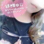 ヒメ日記 2026/02/08 12:12 投稿 さあや 池袋人妻城