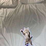 ヒメ日記 2026/02/24 12:33 投稿 さあや 池袋人妻城