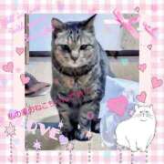 ヒメ日記 2025/09/01 11:16 投稿 かほ 熟女家 ミナミエリア店