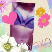 ヒメ日記 2025/11/26 12:05 投稿 かほ 熟女家 ミナミエリア店