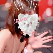 ヒメ日記 2025/09/17 09:48 投稿 ココ バニーコレクション秋田店