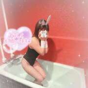 ヒメ日記 2025/09/30 17:27 投稿 ココ バニーコレクション秋田店