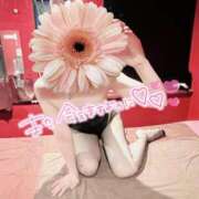 ヒメ日記 2025/07/26 18:04 投稿 ユルリ【恋艶な大和撫子】 ドＭなバニーちゃん小倉店