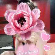 ヒメ日記 2025/08/31 17:15 投稿 ユルリ【恋艶な大和撫子】 ドＭなバニーちゃん小倉店