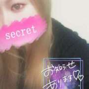 いるか 次回出勤▶︎11/3 月曜日🫶 丸妻 横浜本店