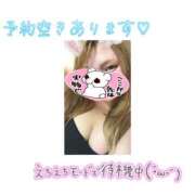 いるか 緊急速報‼️ 丸妻 横浜本店