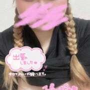 ヒメ日記 2026/02/02 14:55 投稿 いるか 丸妻 横浜本店