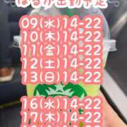 ヒメ日記 2025/07/11 10:30 投稿 はるか★ 阿AUN呍(あうん)