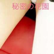 ヒメ日記 2025/07/29 15:43 投稿 うみ 熟女の風俗最終章 所沢店