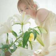 ヒメ日記 2025/08/21 16:50 投稿 ひびき ごほうびSPA五反田店