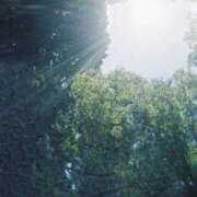 ヒメ日記 2025/11/03 19:47 投稿 ひびき ごほうびSPA五反田店