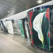 ヒメ日記 2025/11/09 01:40 投稿 ひびき ごほうびSPA五反田店