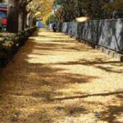 ヒメ日記 2025/12/03 22:00 投稿 ひびき ごほうびSPA五反田店