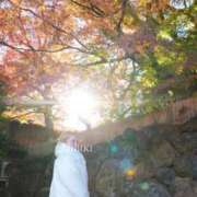 ヒメ日記 2025/12/07 16:20 投稿 ひびき ごほうびSPA五反田店