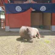 ヒメ日記 2026/01/03 15:50 投稿 ひびき ごほうびSPA五反田店