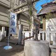 ヒメ日記 2026/01/08 10:30 投稿 ひびき ごほうびSPA五反田店