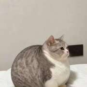 ヒメ日記 2025/12/17 20:07 投稿 ゆう ごほうびSPA五反田店