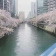 ヒメ日記 2026/04/06 17:10 投稿 ゆう ごほうびSPA五反田店