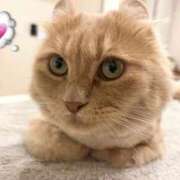 ヒメ日記 2025/10/26 11:23 投稿 ちり（新人割引7/11まで） ウルトラグレイス24