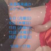 ヒメ日記 2025/08/02 10:22 投稿 きい sakura