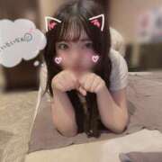 ヒメ日記 2025/10/05 14:09 投稿 安部　うらら プルプル倶楽部 札幌すすきの店