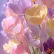 ヒメ日記 2025/07/21 16:05 投稿 もえか CECIL