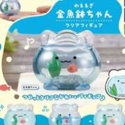 ヒメ日記 2025/07/26 06:34 投稿 もえか CECIL