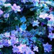 ヒメ日記 2025/07/28 21:44 投稿 もえか CECIL