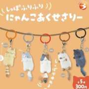 ヒメ日記 2025/08/15 22:51 投稿 もえか CECIL