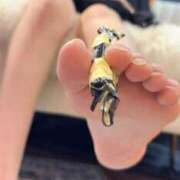 ヒメ日記 2025/08/29 22:01 投稿 ノアお嬢様 M&m Maidとm男の夢物語。