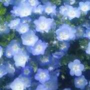 ヒメ日記 2025/08/07 11:36 投稿 せな THE ESUTE HOUSE 柴田