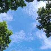 ヒメ日記 2025/10/09 17:07 投稿 せな THE ESUTE HOUSE 柴田