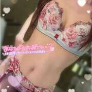 ヒメ日記 2025/11/17 18:20 投稿 ゆの 奥鉄オクテツ東京店（デリヘル市場）