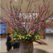 ヒメ日記 2026/03/17 09:20 投稿 ゆの 奥鉄オクテツ東京店（デリヘル市場）