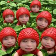 ヒメ日記 2025/07/17 12:42 投稿 さかもと　はやこ しゅうかつ倶楽部