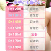 ヒメ日記 2025/09/13 22:21 投稿 さかもと　はやこ しゅうかつ倶楽部