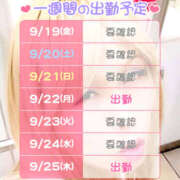 ヒメ日記 2025/09/23 05:38 投稿 さかもと　はやこ しゅうかつ倶楽部