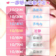 ヒメ日記 2025/10/02 10:00 投稿 さかもと　はやこ しゅうかつ倶楽部