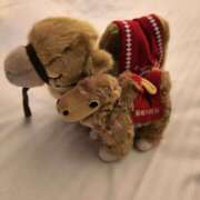 ヒメ日記 2026/02/12 19:46 投稿 ありす アート姫